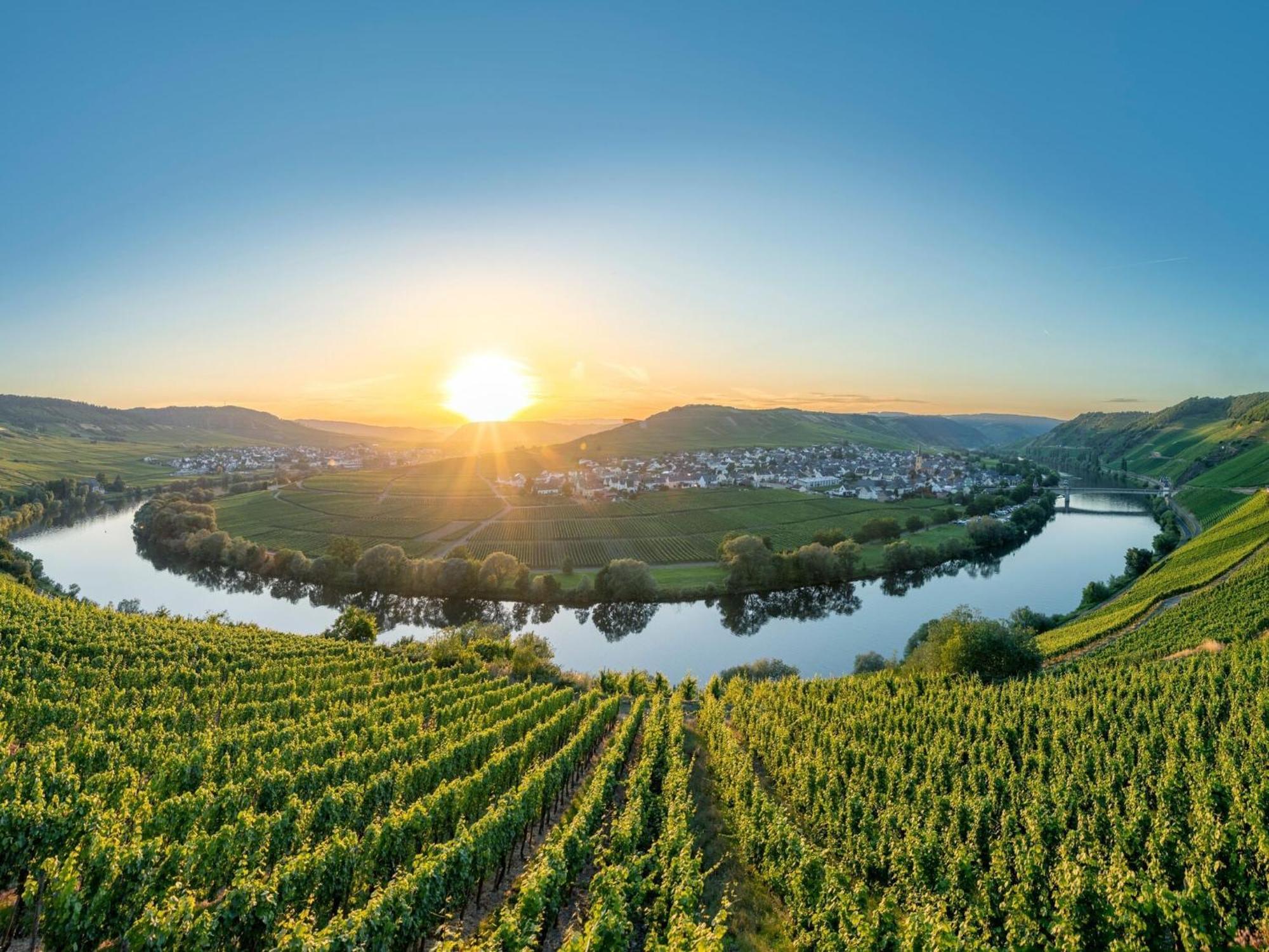 Holiday Home In The Eifel-Mosel With Garden Roes Ngoại thất bức ảnh
